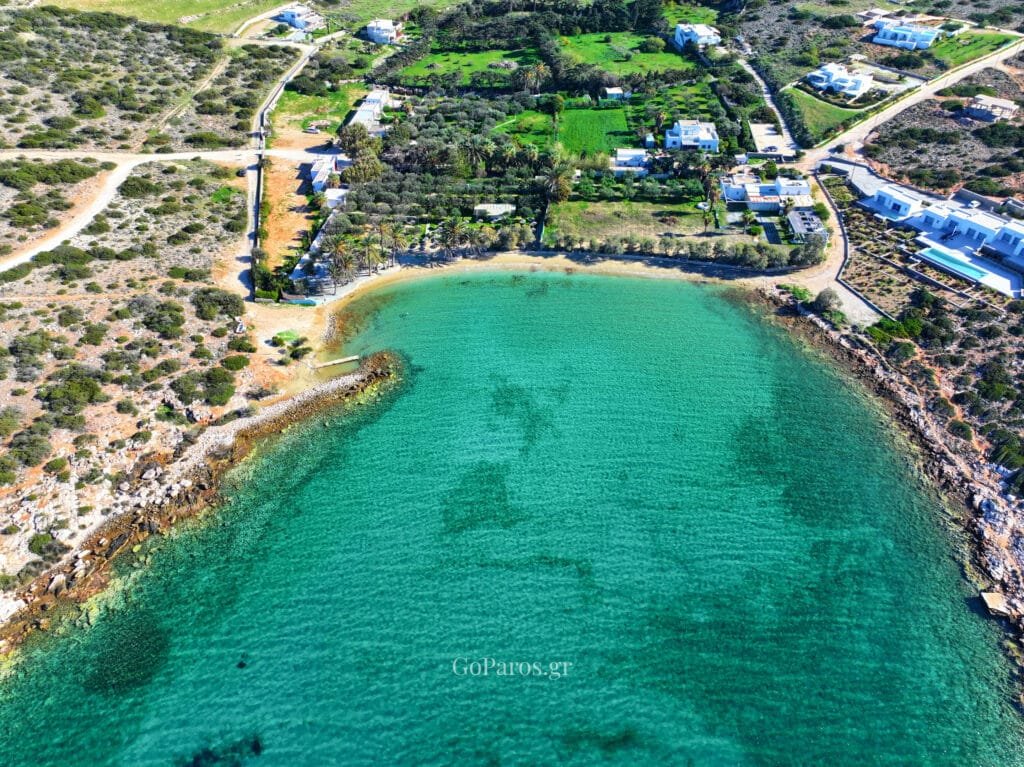 Agia Irini Beach, Paros, aerial view of the small cove with turquoise water, narrow sandy beach, and palm grove behind