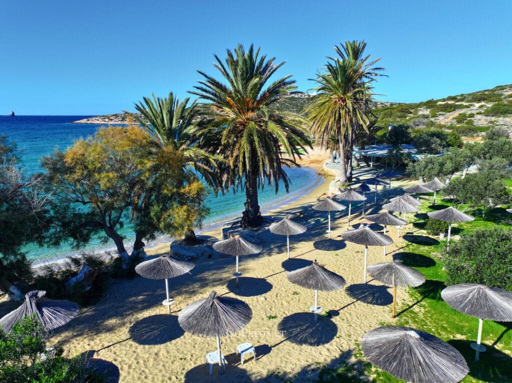 Agia Irini Beach, Paros, palm trees and straw sun umbrellas on sandy beach beside a small cove
