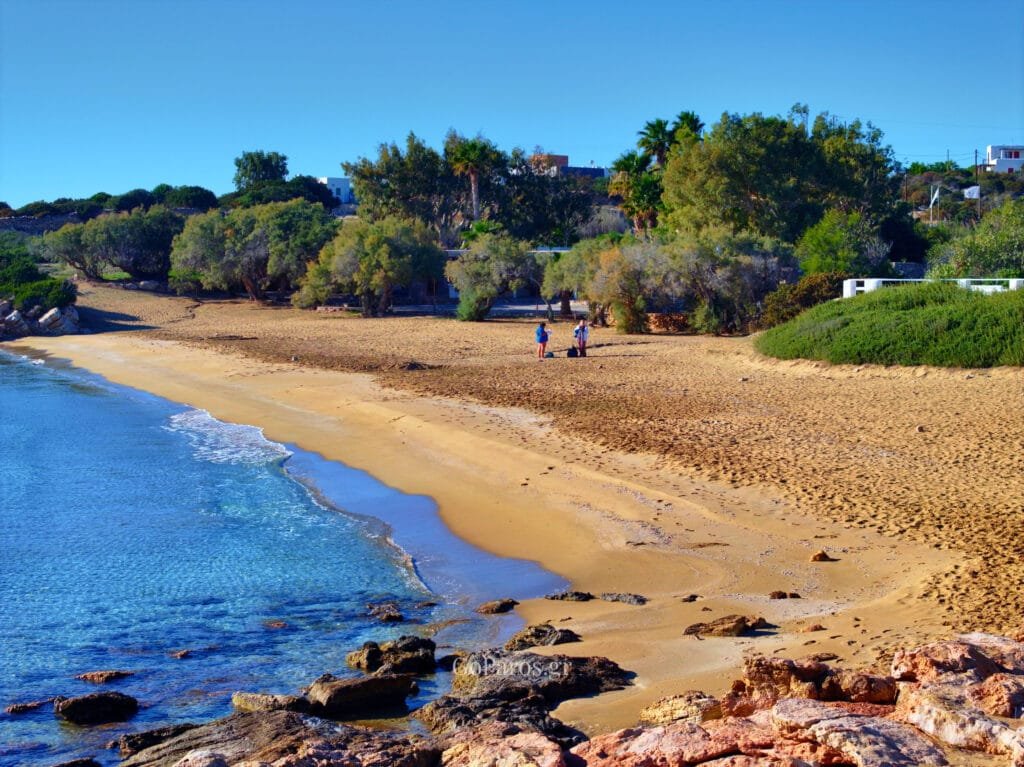 View along Faraggas Beach, Paros, with rocks in the foreground and the sandy bay curving into the distance.