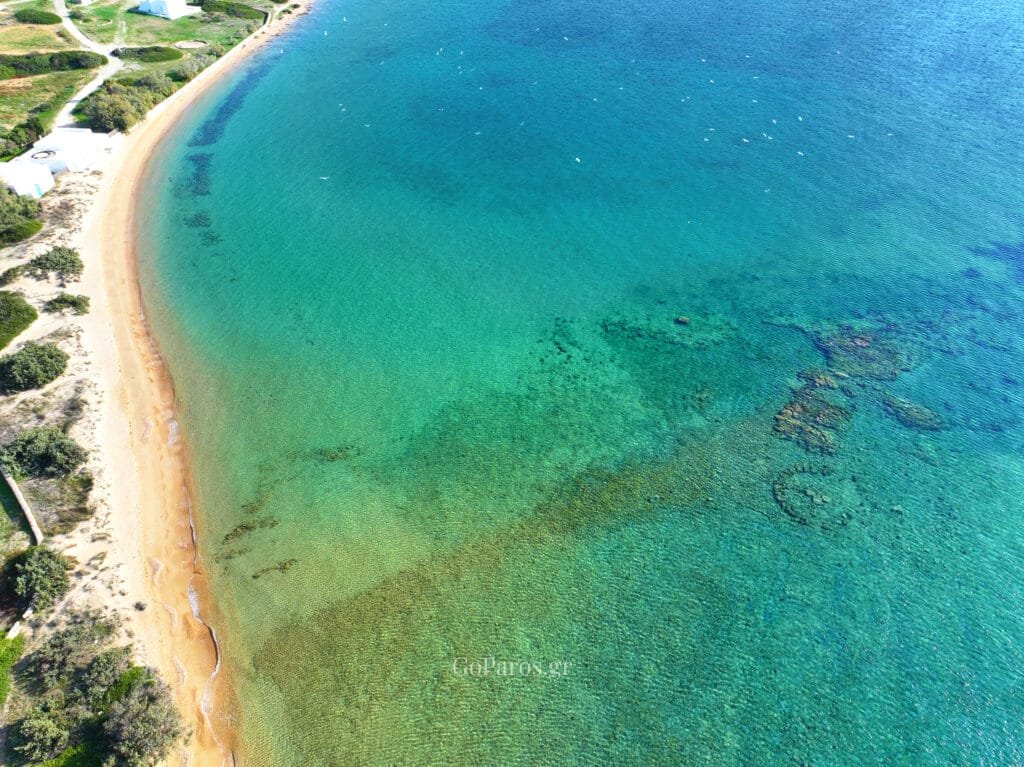 Laggeri Beach, Paros, curved shoreline with gentle waves, a large tree, and hillside buildings in the background.