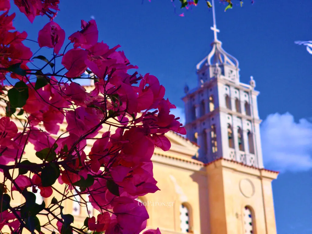 Lefkes, Paros, close-up of pink bougainvillea blossoms with the Agia Triada bell tower in the background