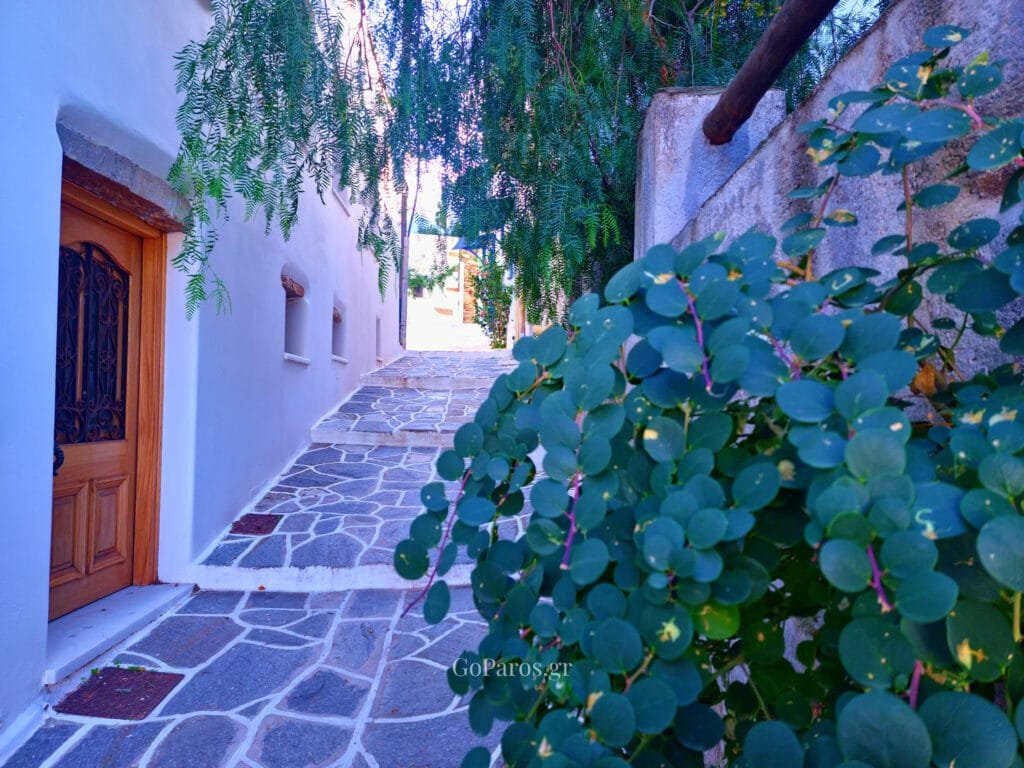 Lefkes, Paros, stone-paved alley with whitewashed walls, a wooden door, and leafy plants in the foreground