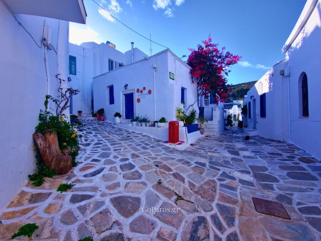 Lefkes, Paros, small stone-paved square between white buildings with blue doors and a pink bougainvillea tree