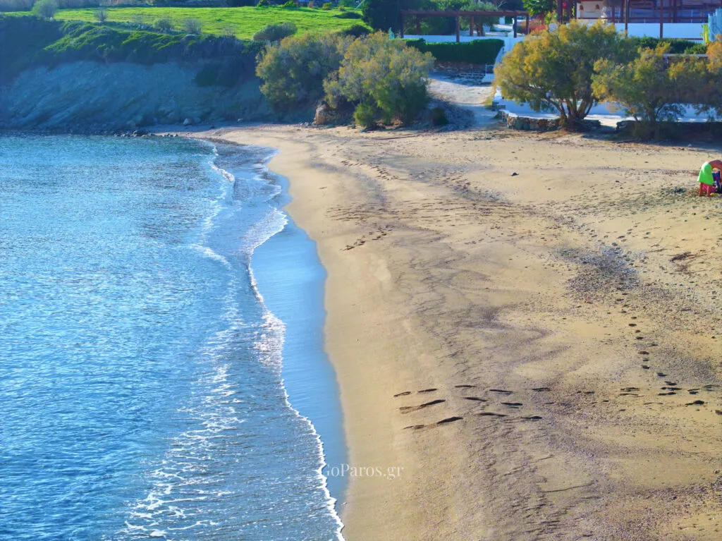 Quiet sandy curve at Lolantonis Beach, Paros, with calm water and tamarisk trees.