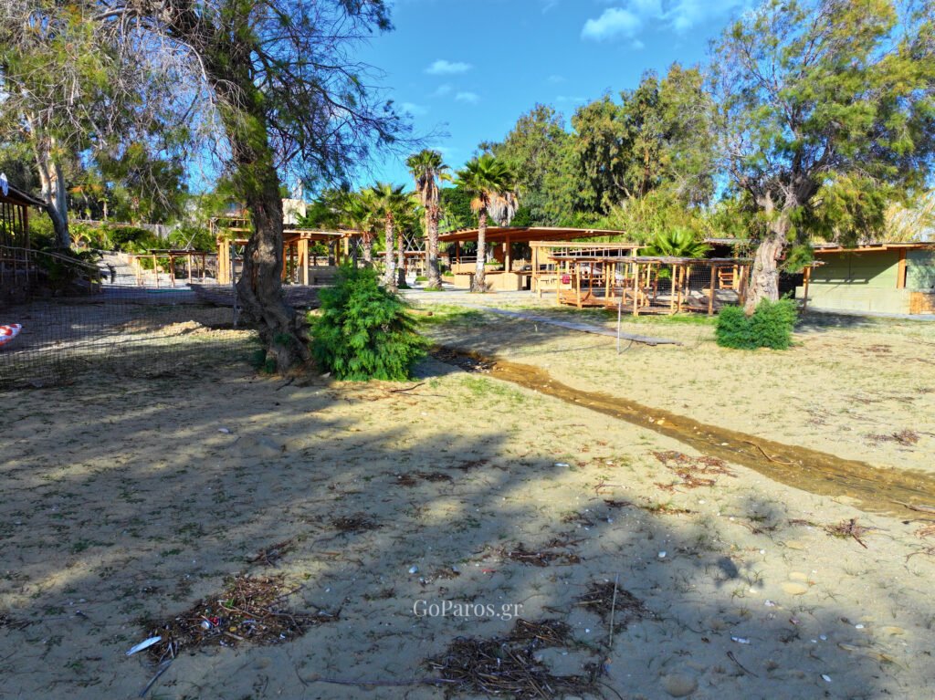 Sandy beach area with trees and beach facilities behind the shore at Punda Beach East, Paros.