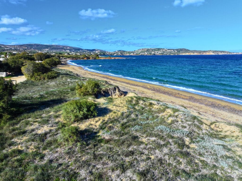 Dunes and coastal scrub above Tsoukalia Beach, Paros, looking along the shoreline.