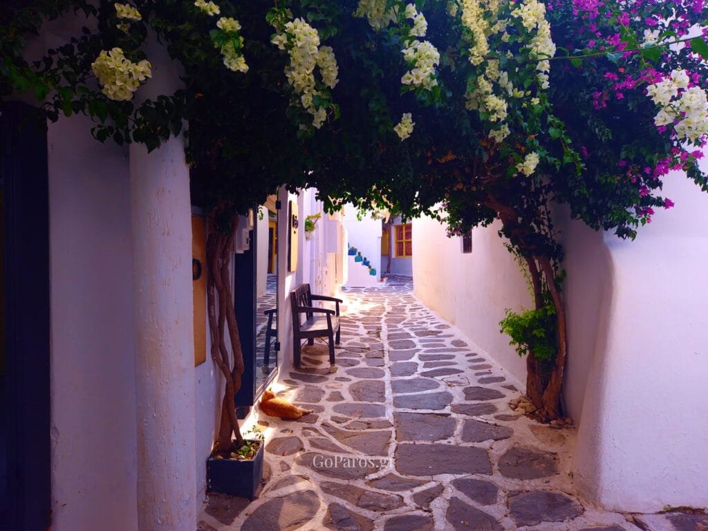 Naoussa, Paros, shaded alley under bougainvillea with a stone path