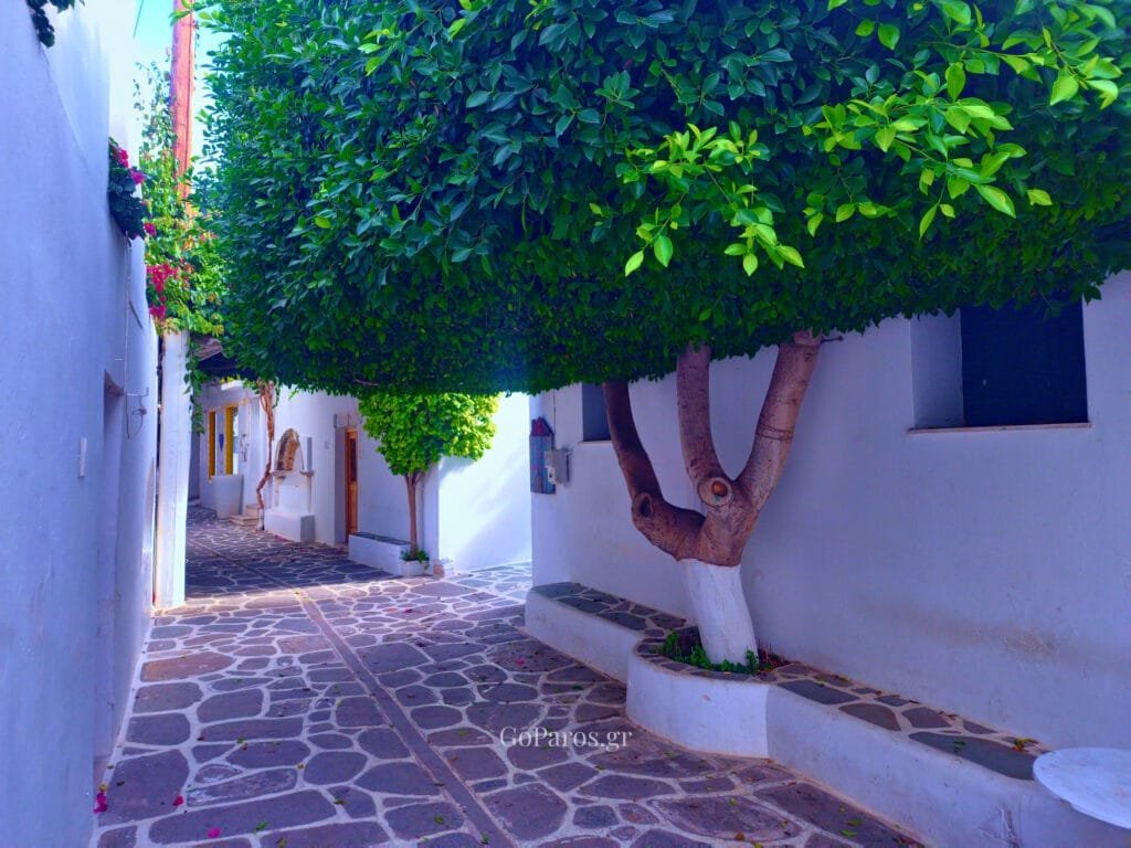 Parikia, Paros, shaded cobblestone alley with tree canopy
