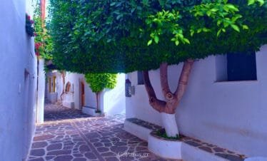 Parikia, Paros, shaded cobblestone alley with tree canopy