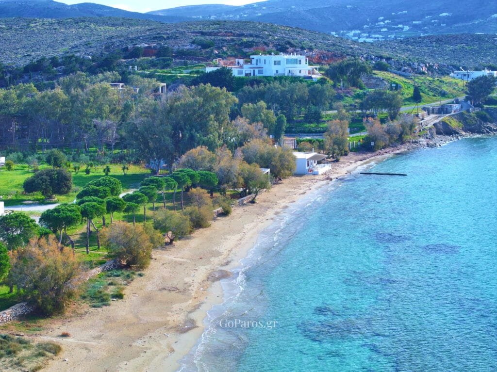 Coastal view of Krios Beach with trees, sandy shoreline and villas behind, Paros.