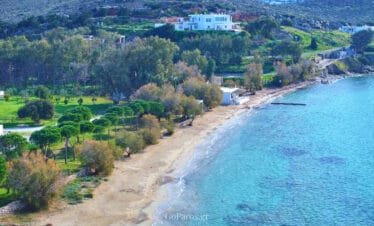 Coastal view of Krios Beach with trees, sandy shoreline and villas behind, Paros.