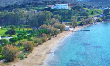 Coastal view of Krios Beach with trees, sandy shoreline and villas behind, Paros.