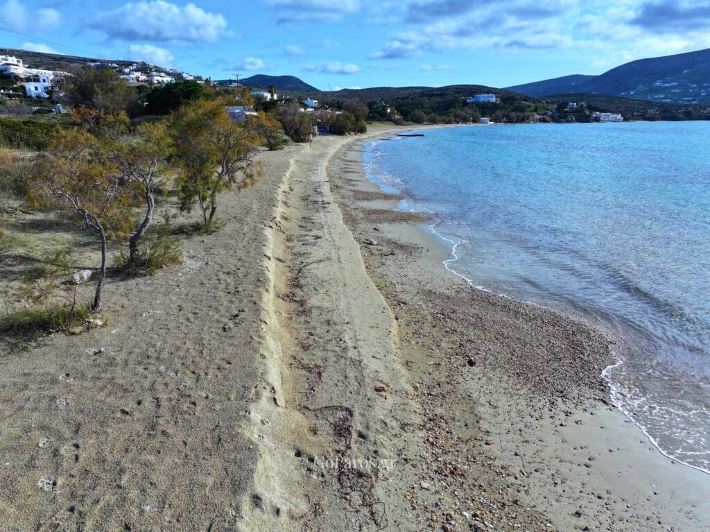 Shoreline walk with trees and calm bay at Marcello Beach, Paros.