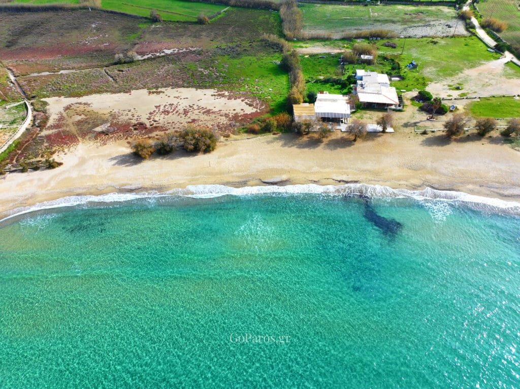 Aerial view of Parasporos Beach shoreline with seaside houses and fields, Paros.