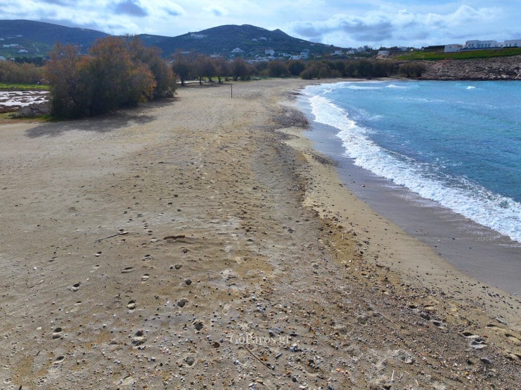 Sandy shoreline at Parasporos Beach with trees and gentle waves, Paros.